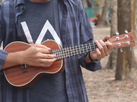 ukulele-by-ridoy-hasan-from-pixabay.jpg