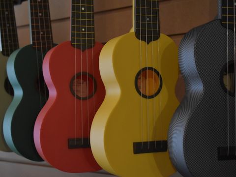 ukulele-image-by-stewart-gunn-from-pixabay.jpg