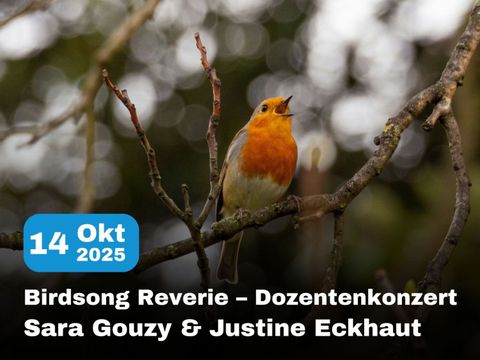 251014_birdsong