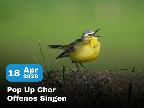 260418_Pop-Up-Chor