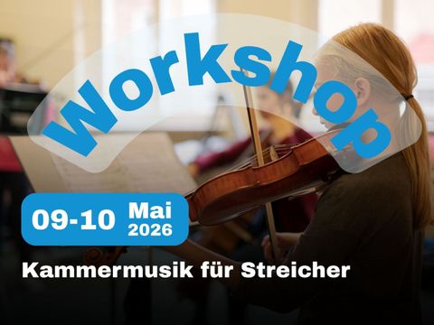 260509_Streicher