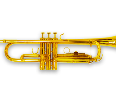 Trompete
