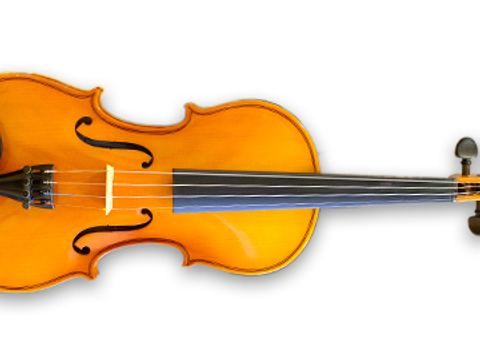 Violine