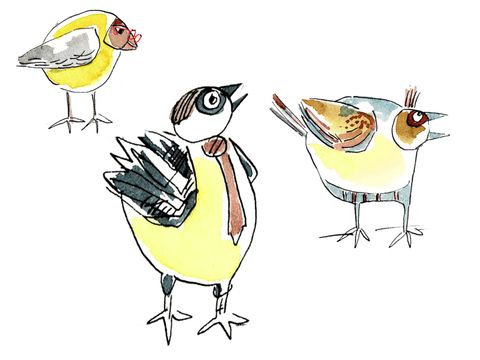 Singende Vögel Grafik, Chor