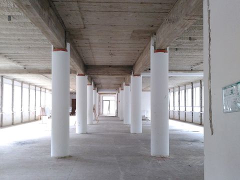 Zillecampus 2023
