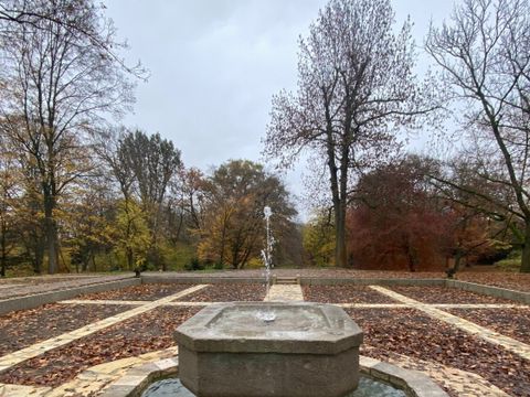 Brunnen im Rosengarten