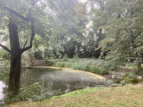 Blick auf den Wilhelmsteich