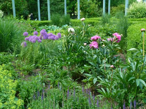 Staudengarten