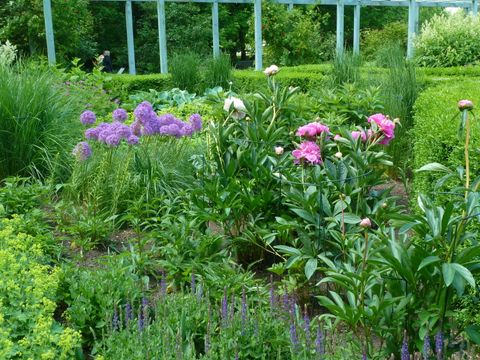 Staudengarten
