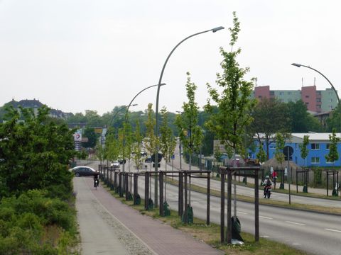 Südlicher Abschnitt der Neuen Späthstraße im Mai 2016 (Bild: Pflanzenschutzamt Berlin)