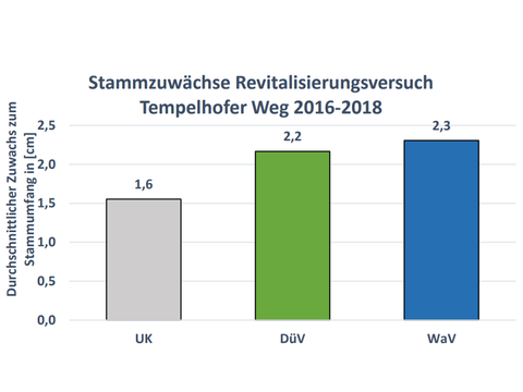 Abbildung 1: Die durchschnittlichen Zuwächse zum Stammumfang in den drei Varianten UK(Grau), DüV(Grün) und WaV(Blau), am Versuchsstandort Tempelhofer Weg in Phase I (2016–2018). (Bild: Pflanzenschutzamt Berlin)