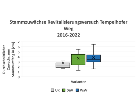 Abbildung 2: Zuwachs zu Stammumfängen in Phase I und II (2016–2022) am Versuchsstandort Tempelhofer Weg als Boxplot. Farbcodierung wie in Abbildung 1. Mittelwerte als Kreuz und Median als Querstrich angegeben. (Bild: Pflanzenschutzamt Berlin)