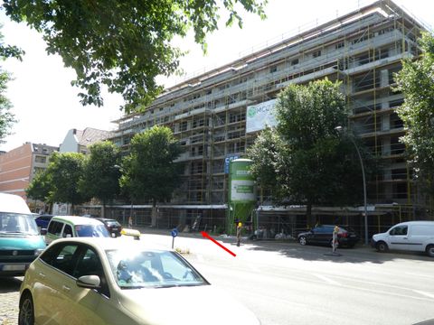 Abb. 1: Untersuchungsstandort (Pfeil) am Columbiadamm in Berlin-Neukölln (Bild: Pflanzenschutzamt Berlin)