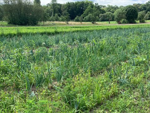Landwirtschaft