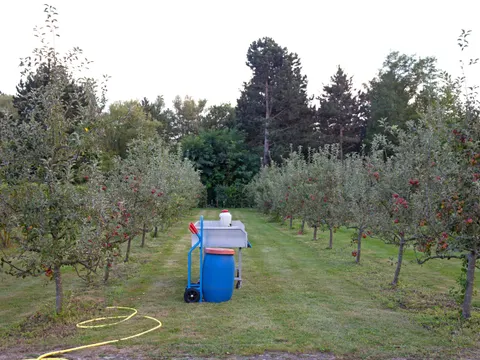 Pflanzenschutz in Obstanlage