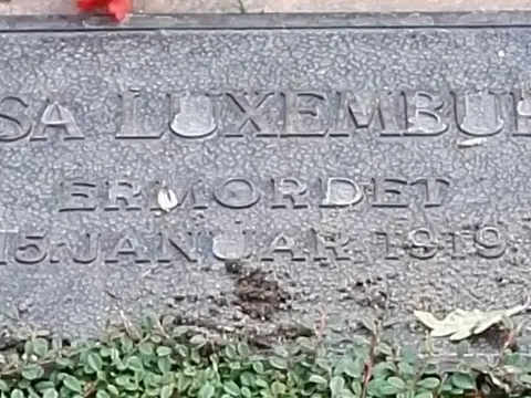 1-Rosa Luxemburg Detail