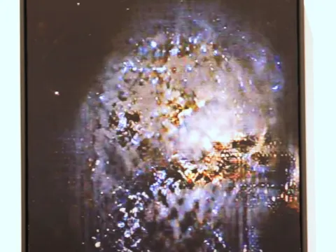 Spaceflower-Flieder 1