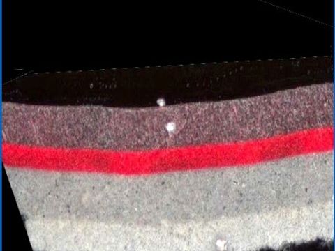 Lackprobe