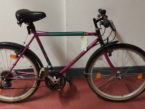 Violettes Kinderfahrrad