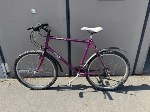 Lilafarbenes Herrenfahrrad