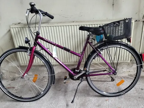 Lila Herrenfahrrad