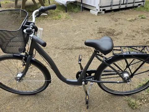 Schwarzes Damenfahrrad
