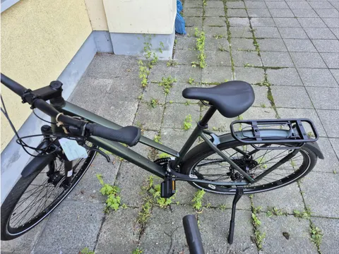 Grünes Herrenfahrrad