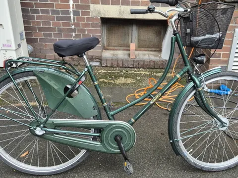 Grünes Damenfahrrad