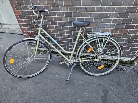 Olives Damenfahrrad