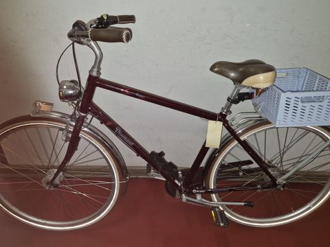 Braunes Herrenfahrrad