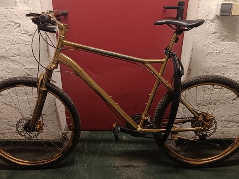 Goldenes Herrenfahrrad