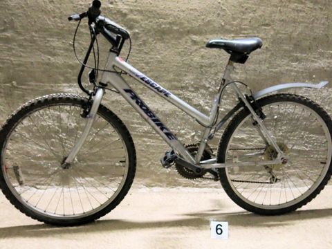 Silbernes Damenfahrrad