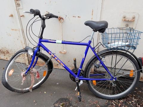 Blaues Herrenfahrrad