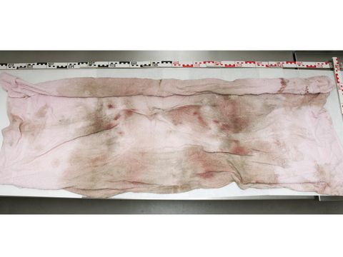 Rosafarbenes Handtuch (Bild: Polizei Berlin)