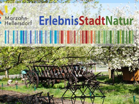 Streuobstwiese Dorf marzahn