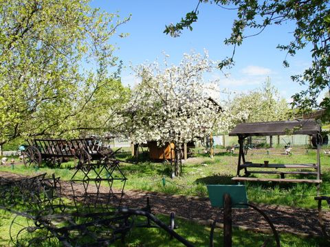 Streuobstwiese im Landwirtschaftlichen Maschinenpark