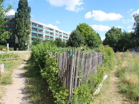 Schulgarten