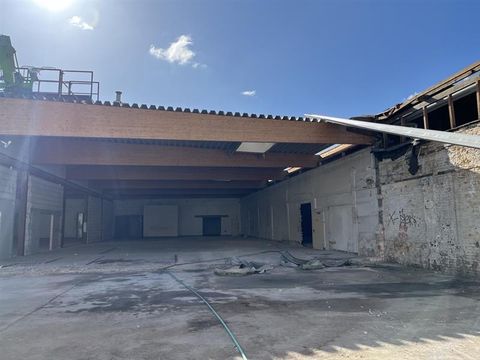 Rückbau Dachträger Verlängerung zur Adlerhalle | Sommer 2025