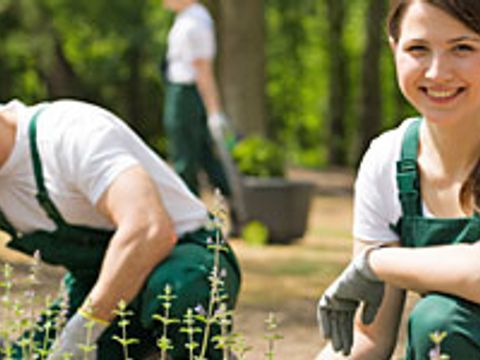 Berufsbildung-landwirtschaft-teaser