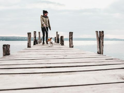 Eine Schülerin führt einen Hund Gassi.