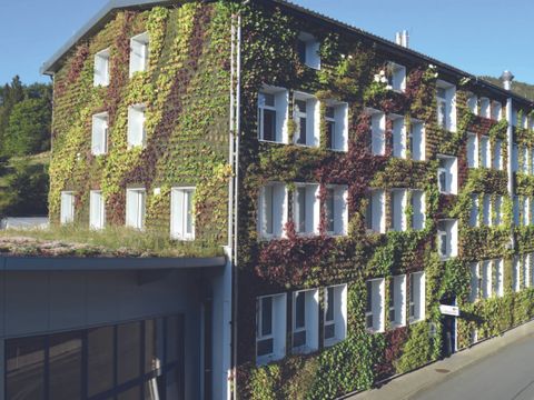 Fassaden-/Wandbegrünung wandgebunden (Bild: Bundesverband Gebäudegrün e.V.)