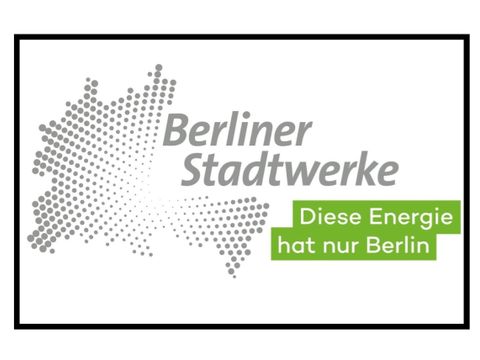 BSW Logo (mit Rand)