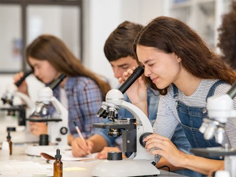 Klasse im Biologieunterricht, arbeit mit dem Mikroskop