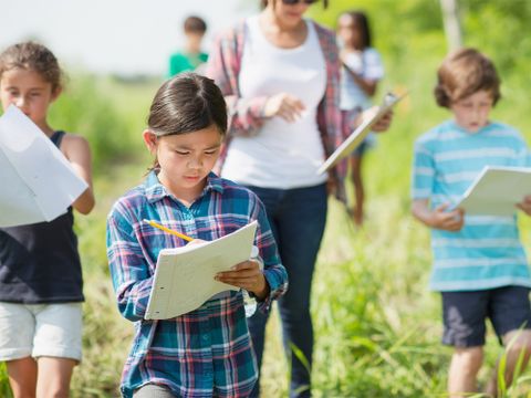 Klassengruppe bei einer Exkursion in der Natur, die Schüler schreiben Beobachtungen auf