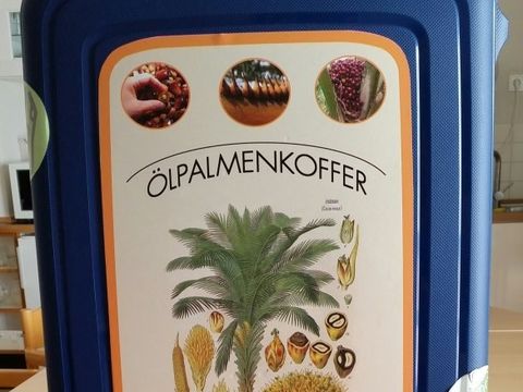 Ölpalmenkoffer