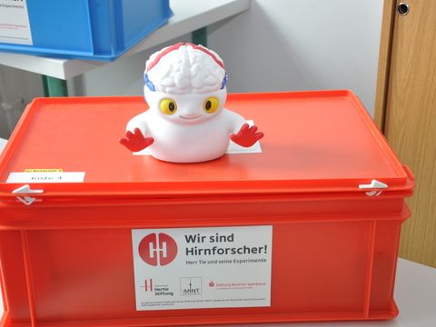 (Bild: SenBJF)