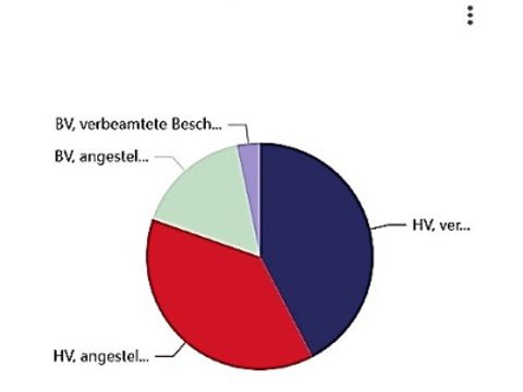 Abbildung Dashboard Personalmonitor