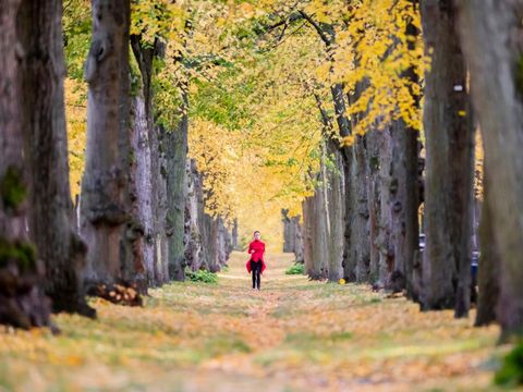 Frau beim Joggen im Tiergarten