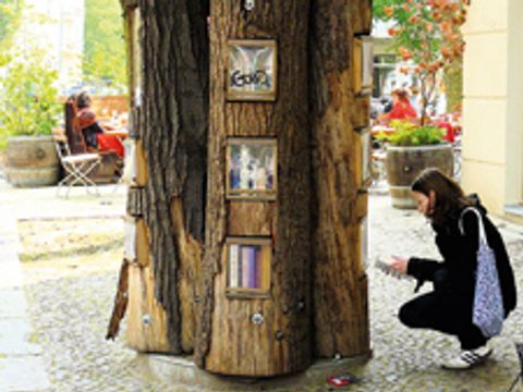 Route 5: Baum mit eingelassenen Regal in dem Bücher stehen