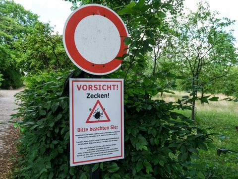 Warnung vor Zecken